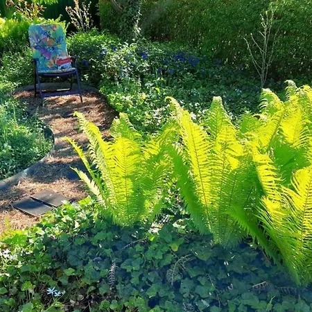 Hébergement de vacances In Storkow Mit Schoenem Garten